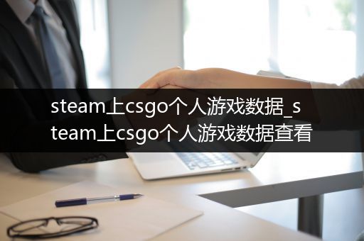 steam上csgo个人游戏数据_steam上csgo个人游戏数据查看