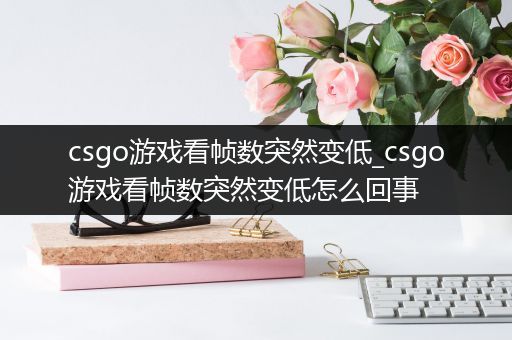 csgo游戏看帧数突然变低_csgo游戏看帧数突然变低怎么回事