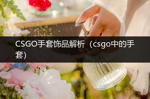 CSGO手套饰品解析（csgo中的手套）