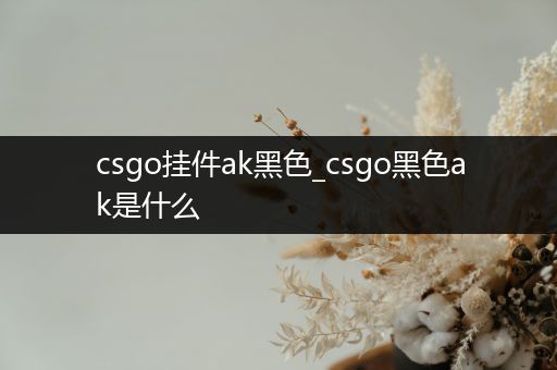 csgo挂件ak黑色_csgo黑色ak是什么