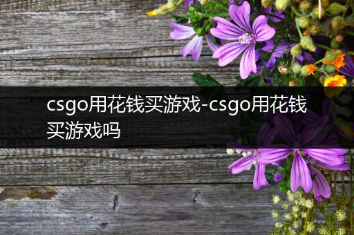 csgo用花钱买游戏-csgo用花钱买游戏吗