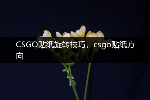 CSGO贴纸旋转技巧，csgo贴纸方向