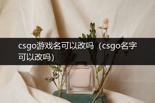 csgo游戏名可以改吗（csgo名字可以改吗）