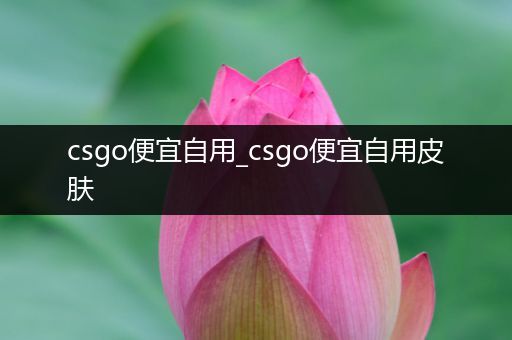 csgo便宜自用_csgo便宜自用皮肤
