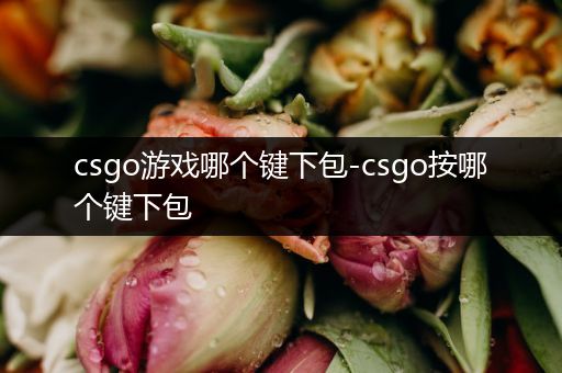 csgo游戏哪个键下包-csgo按哪个键下包