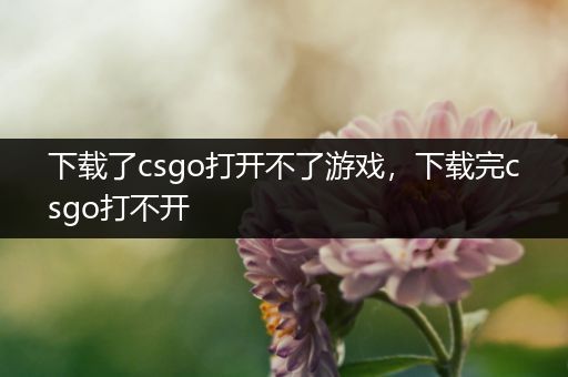 下载了csgo打开不了游戏，下载完csgo打不开