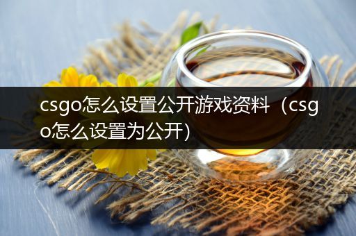 csgo怎么设置公开游戏资料（csgo怎么设置为公开）