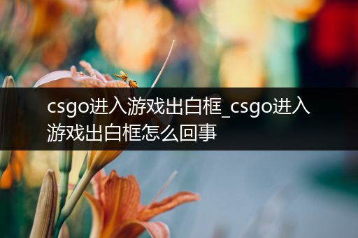 csgo进入游戏出白框_csgo进入游戏出白框怎么回事
