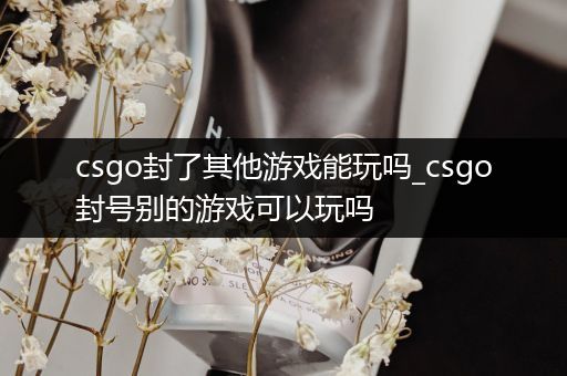 csgo封了其他游戏能玩吗_csgo封号别的游戏可以玩吗