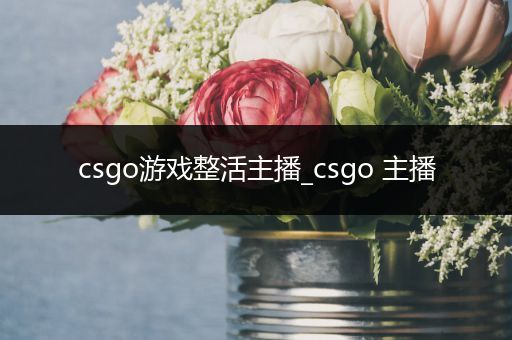 csgo游戏整活主播_csgo 主播