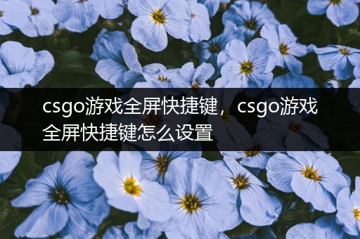 csgo游戏全屏快捷键，csgo游戏全屏快捷键怎么设置
