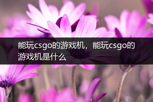 能玩csgo的游戏机，能玩csgo的游戏机是什么