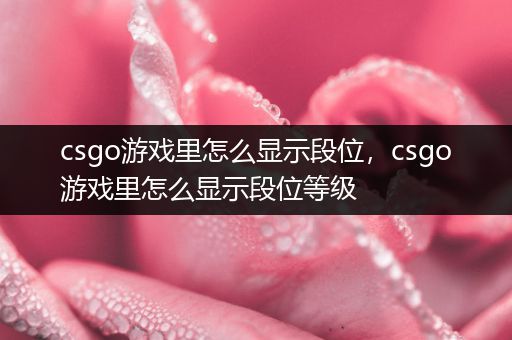 csgo游戏里怎么显示段位，csgo游戏里怎么显示段位等级
