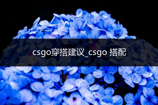 csgo穿搭建议_csgo 搭配