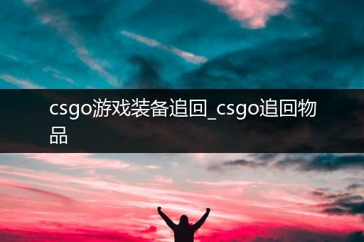 csgo游戏装备追回_csgo追回物品