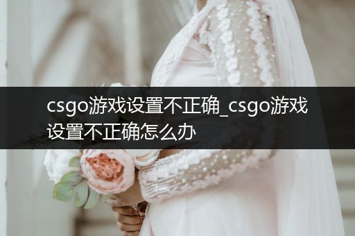 csgo游戏设置不正确_csgo游戏设置不正确怎么办