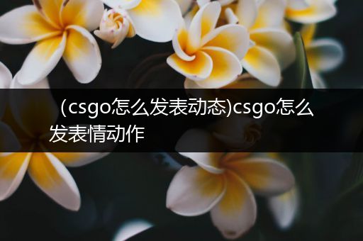 （csgo怎么发表动态)csgo怎么发表情动作