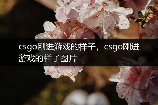csgo刚进游戏的样子，csgo刚进游戏的样子图片