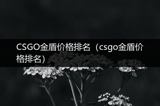CSGO金盾价格排名（csgo金盾价格排名）
