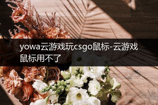 yowa云游戏玩csgo鼠标-云游戏鼠标用不了