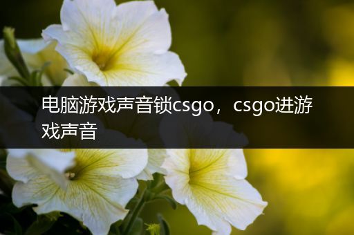 电脑游戏声音锁csgo，csgo进游戏声音