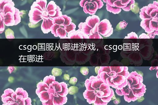 csgo国服从哪进游戏，csgo国服在哪进