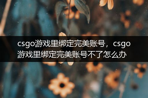 csgo游戏里绑定完美账号，csgo游戏里绑定完美账号不了怎么办