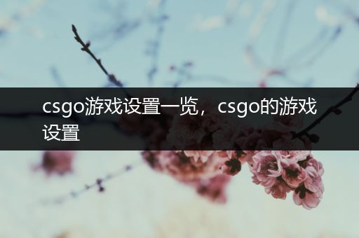 csgo游戏设置一览，csgo的游戏设置