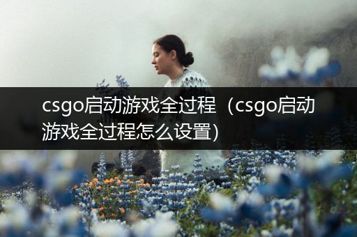 csgo启动游戏全过程（csgo启动游戏全过程怎么设置）