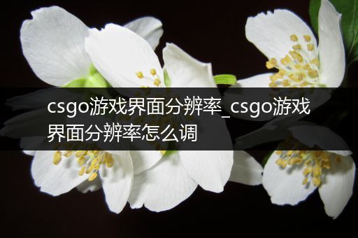 csgo游戏界面分辨率_csgo游戏界面分辨率怎么调