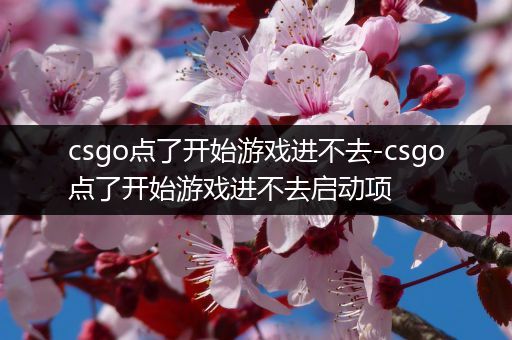 csgo点了开始游戏进不去-csgo点了开始游戏进不去启动项
