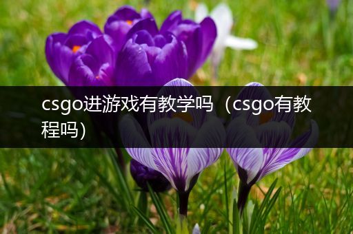 csgo进游戏有教学吗（csgo有教程吗）