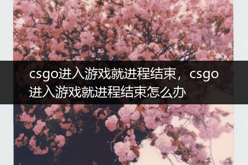csgo进入游戏就进程结束，csgo进入游戏就进程结束怎么办