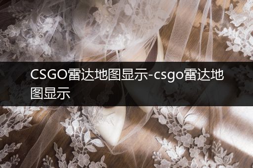 CSGO雷达地图显示-csgo雷达地图显示