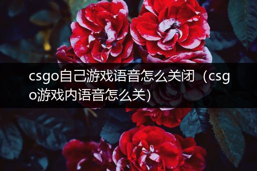 csgo自己游戏语音怎么关闭（csgo游戏内语音怎么关）