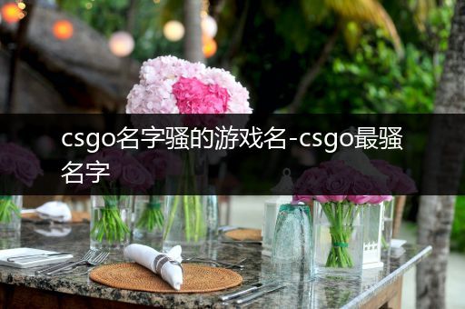 csgo名字骚的游戏名-csgo最骚名字