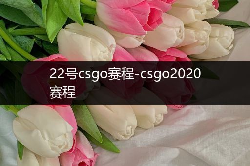 22号csgo赛程-csgo2020赛程