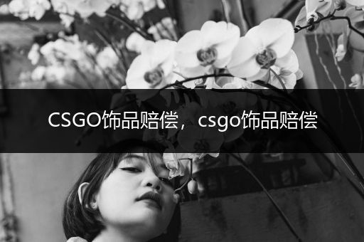 CSGO饰品赔偿，csgo饰品赔偿