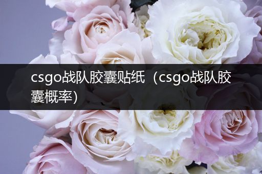 csgo战队胶囊贴纸（csgo战队胶囊概率）