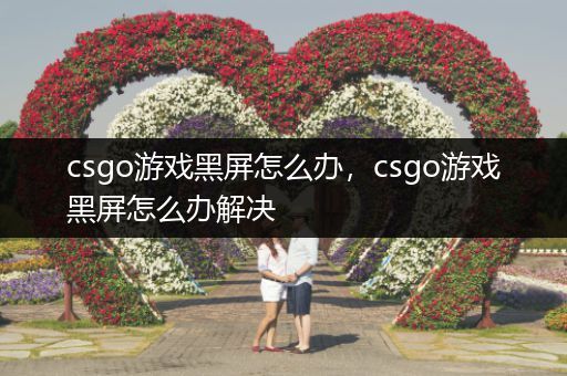csgo游戏黑屏怎么办，csgo游戏黑屏怎么办解决