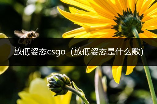 放低姿态csgo（放低姿态是什么歌）