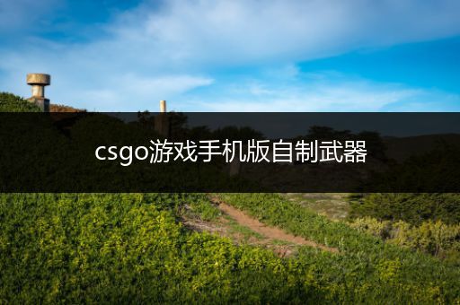 csgo游戏手机版自制武器
