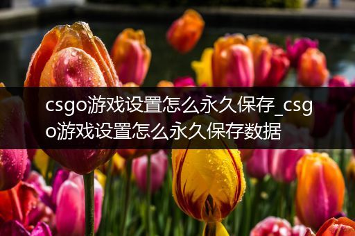 csgo游戏设置怎么永久保存_csgo游戏设置怎么永久保存数据