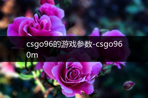 csgo96的游戏参数-csgo960m