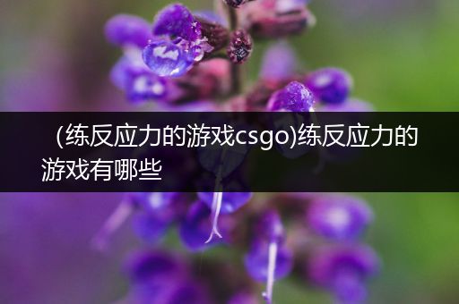 （练反应力的游戏csgo)练反应力的游戏有哪些