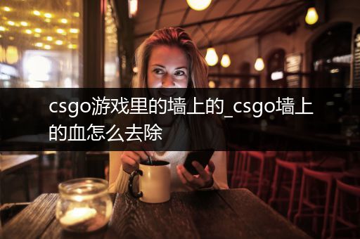 csgo游戏里的墙上的_csgo墙上的血怎么去除