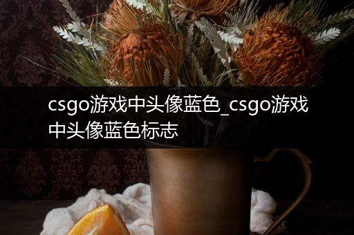 csgo游戏中头像蓝色_csgo游戏中头像蓝色标志