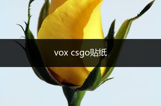 vox csgo贴纸