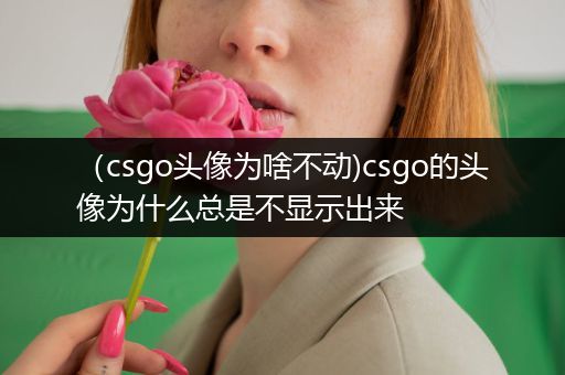（csgo头像为啥不动)csgo的头像为什么总是不显示出来