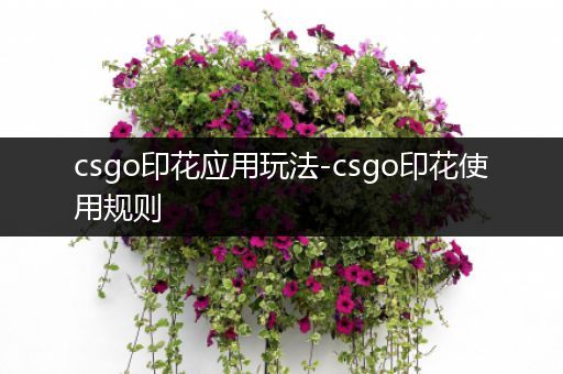 csgo印花应用玩法-csgo印花使用规则